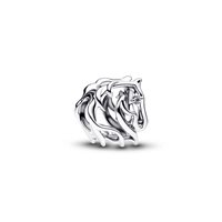 Charm Pandora   in Argento 794430C01